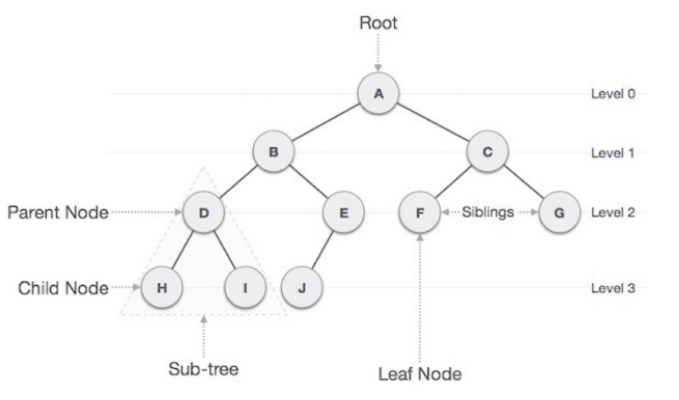 [Data Structure] Tree