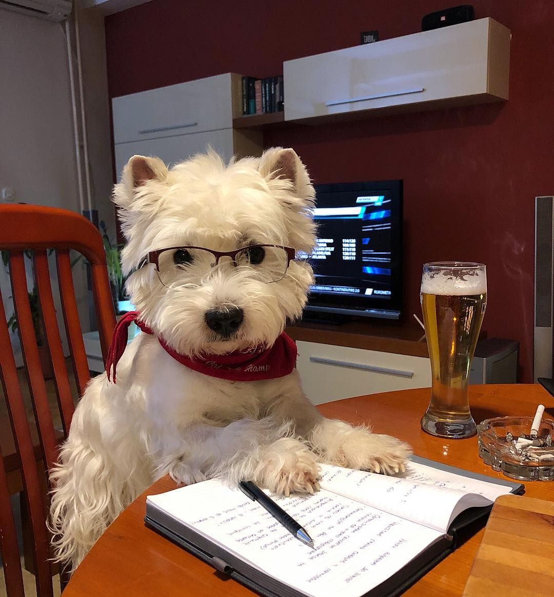 comment-user-thumbnail