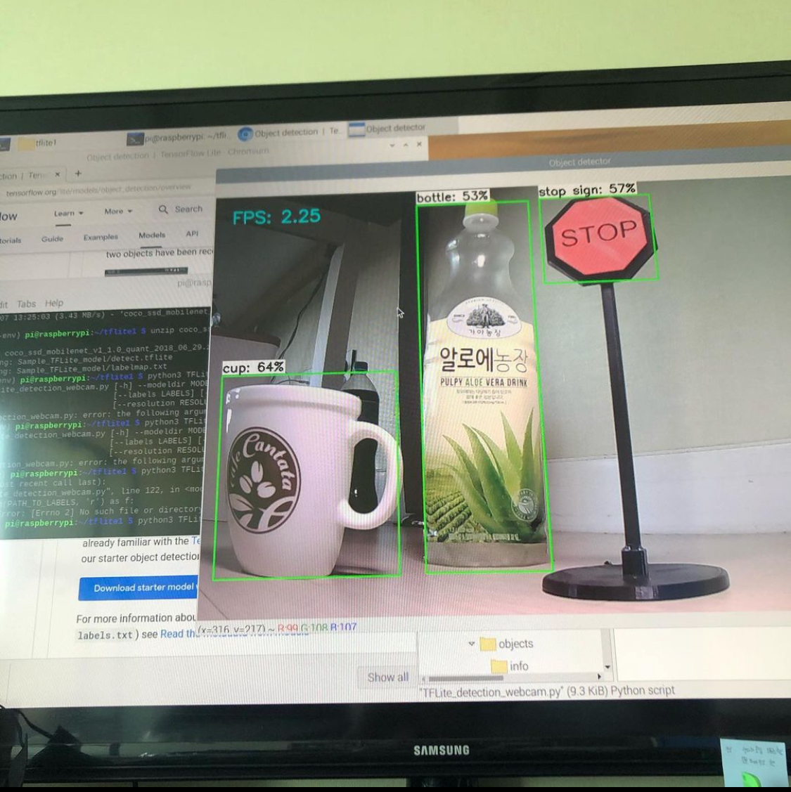 TFLite Object Detection Starter Model