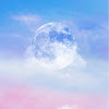 Velog profile picture for @sep