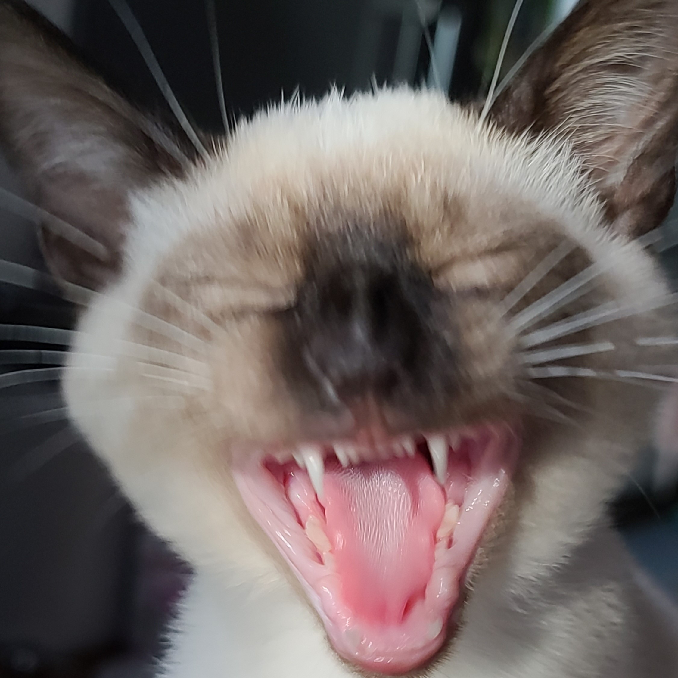 comment-user-thumbnail