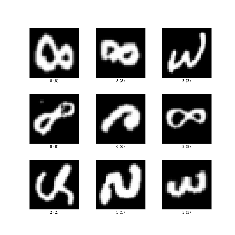 숫자
