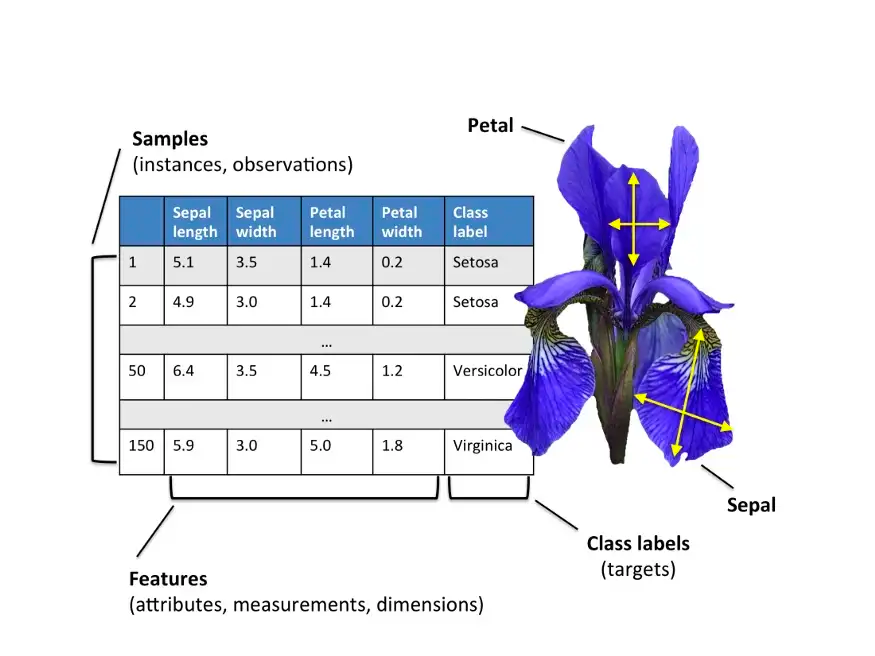 Iris dataset