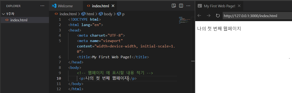 코딩 자율학습단 HTML+CSS+자바스크립트 (HTML 편)