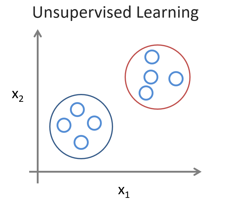 find structure, pattern in the data