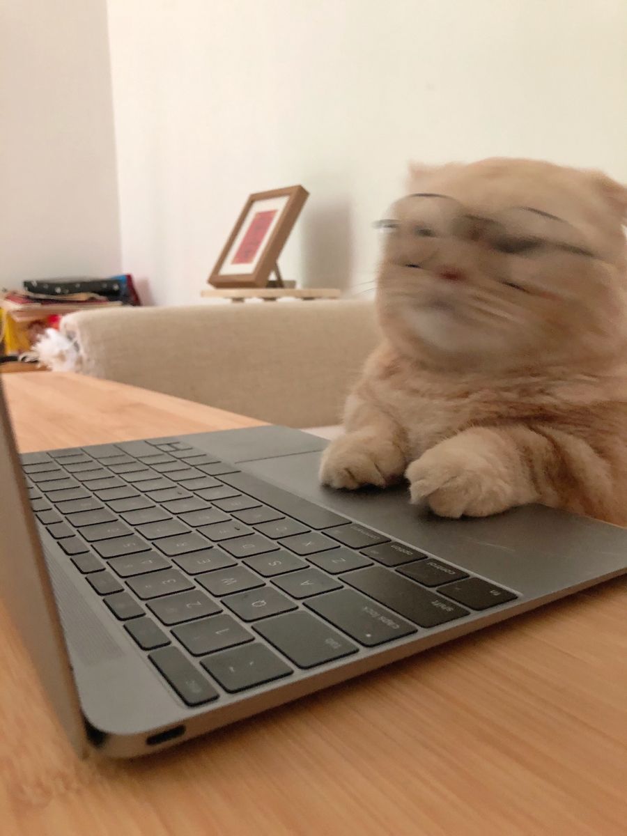 comment-user-thumbnail