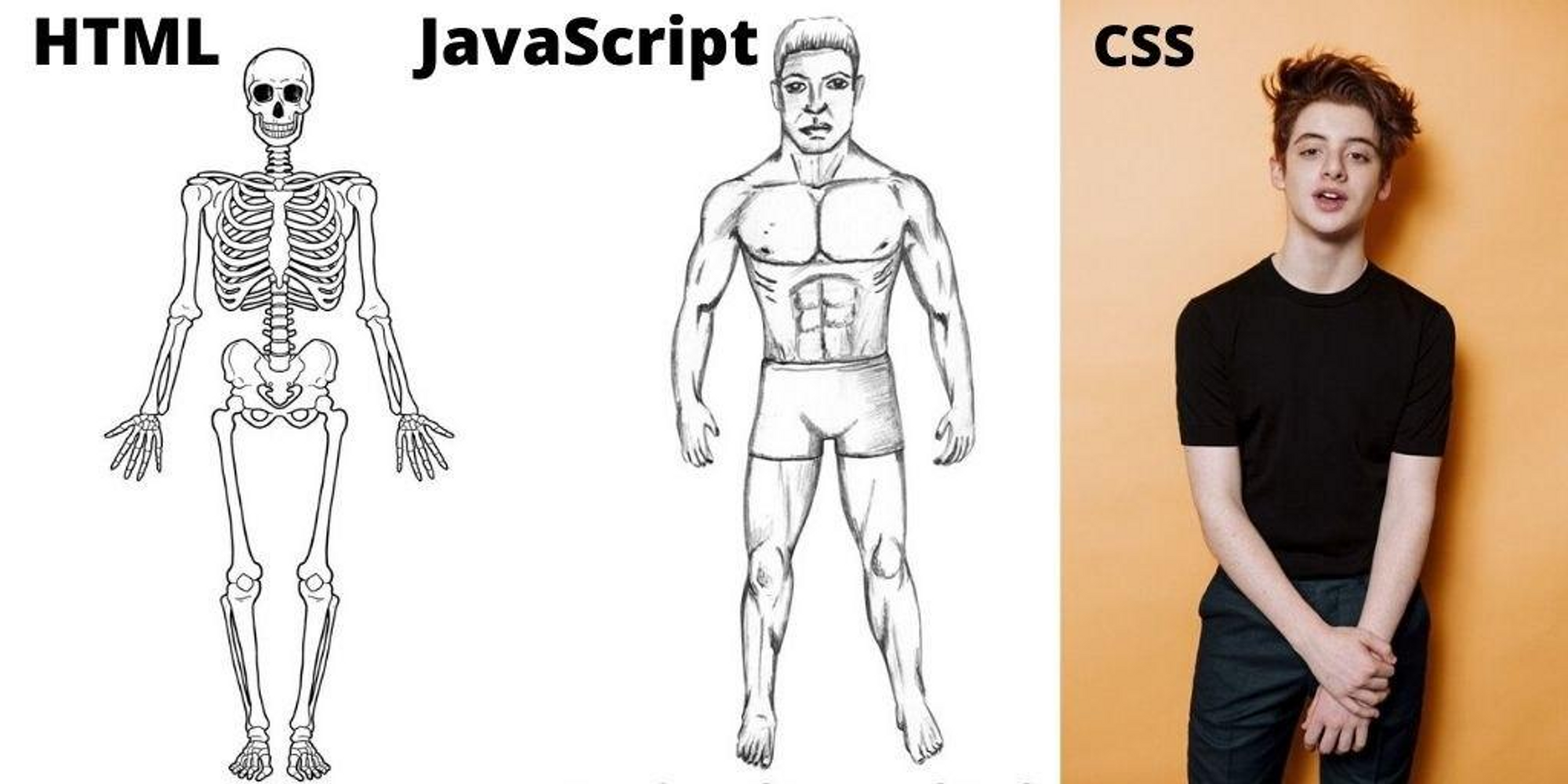 HTML,CSS,Javascrpit