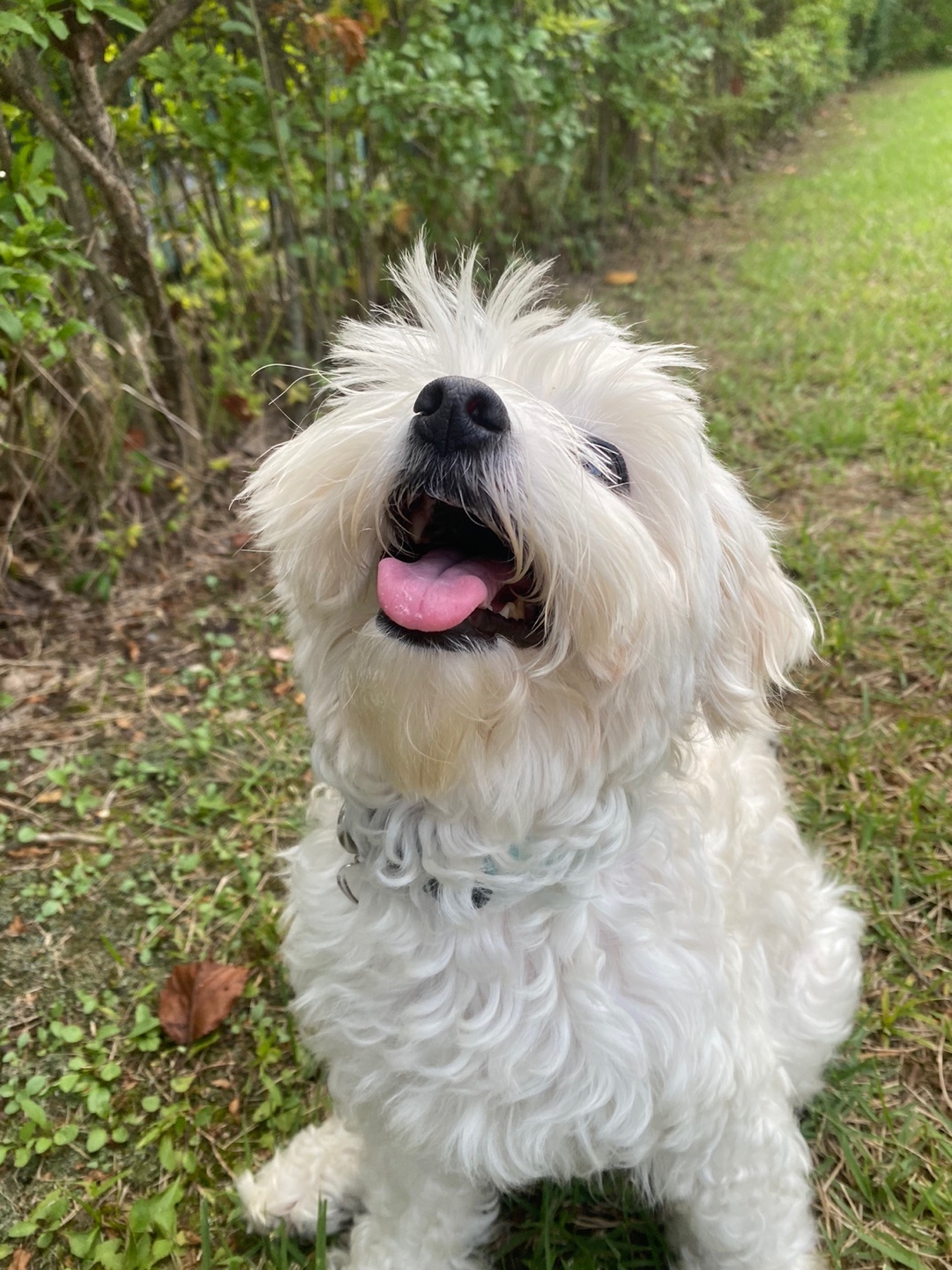 comment-user-thumbnail