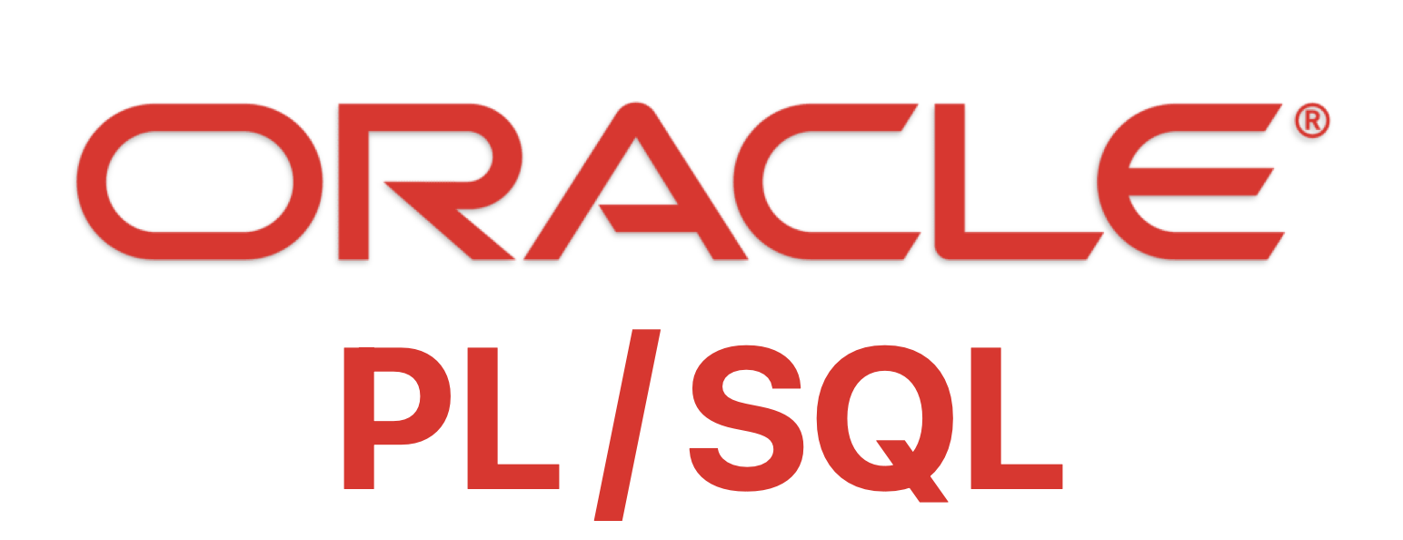 [Oracle PL/SQL] PL/SQL