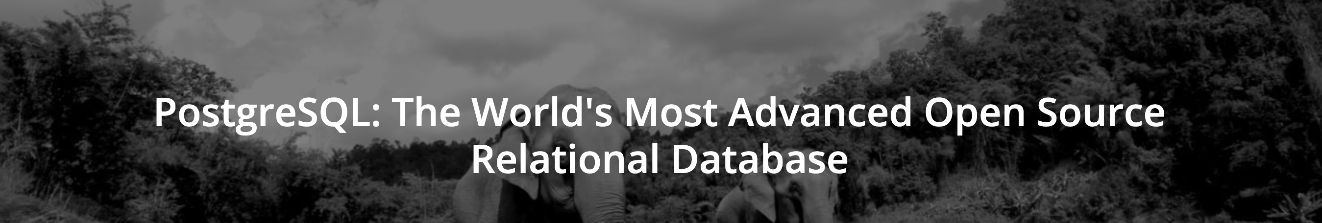 PostgreSQL