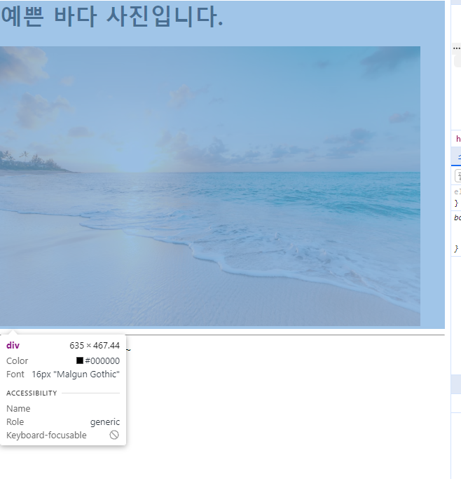 HTML & CSS 챌린지 2일차 TIL