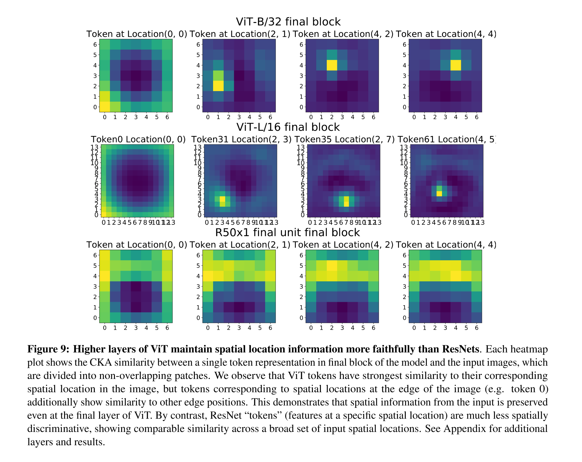 Do Vision Transformers See Like Convolutional Neural Networks