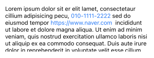 textViewDataDetectionExample