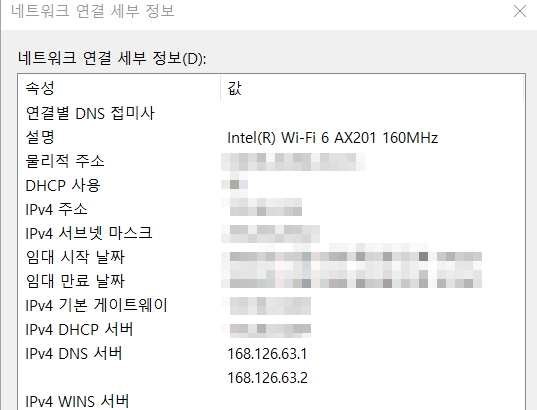 네트워크 탭의 DNS 서버