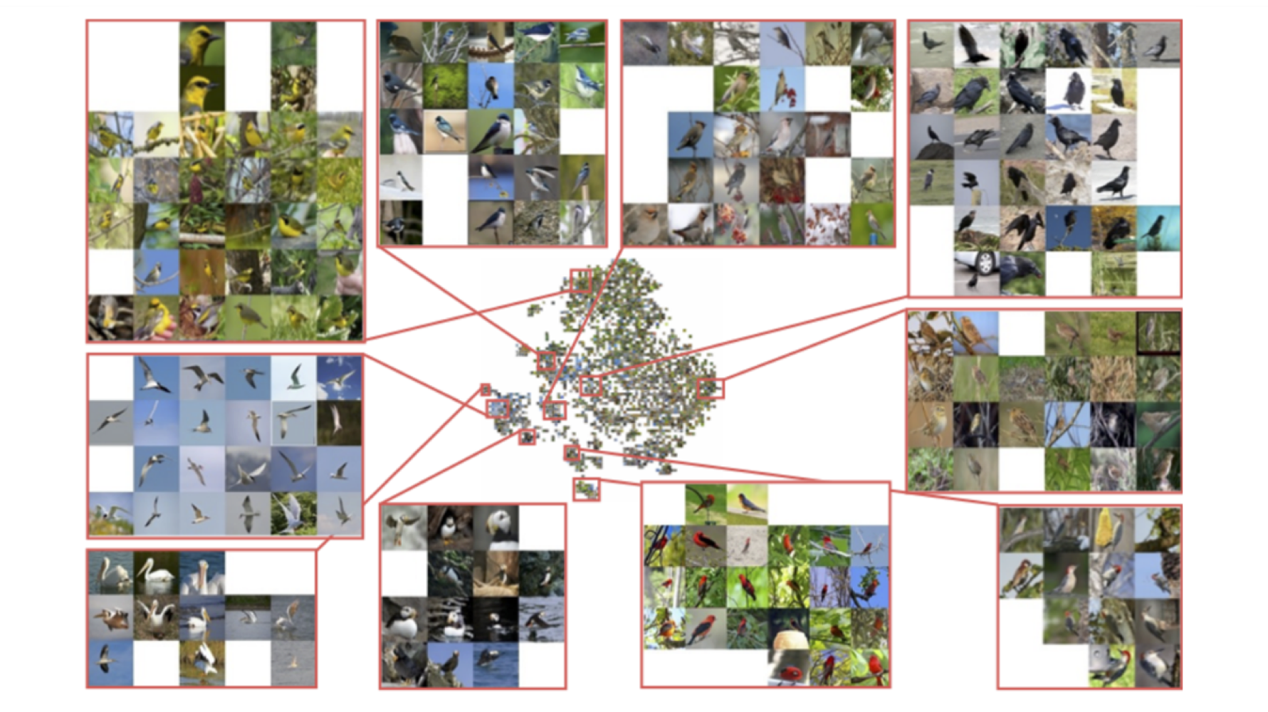 Similarity Learning & Contrastive Learning