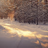 comment-user-thumbnail