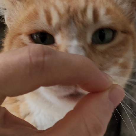 comment-user-thumbnail