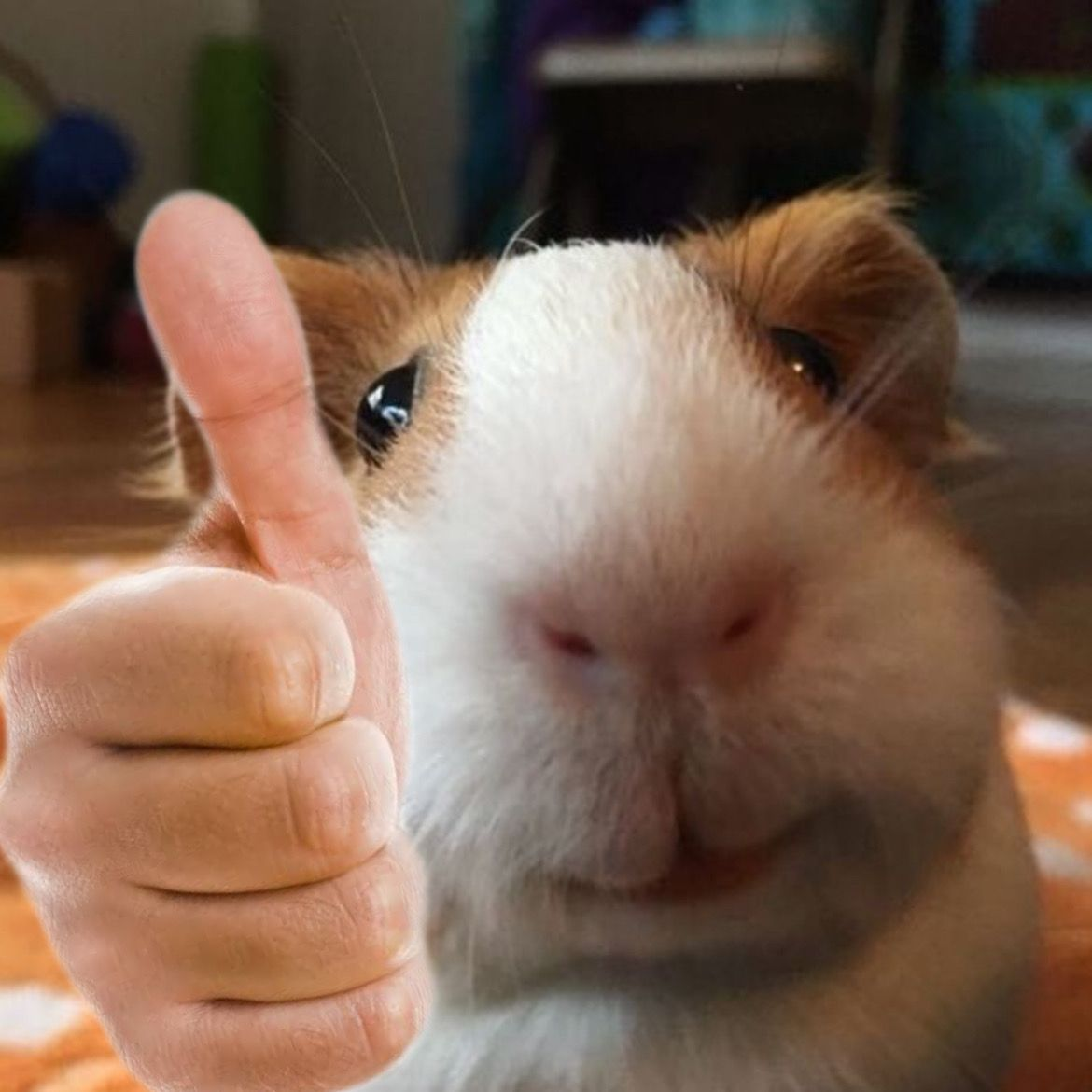 post-thumbnail