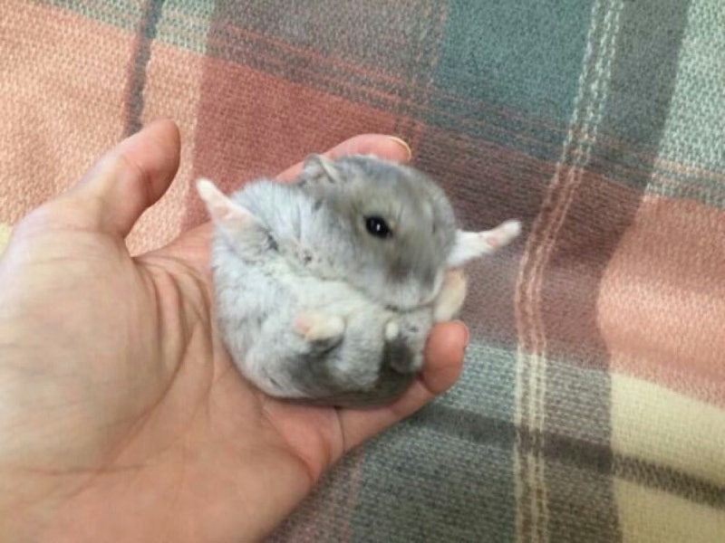 post-thumbnail