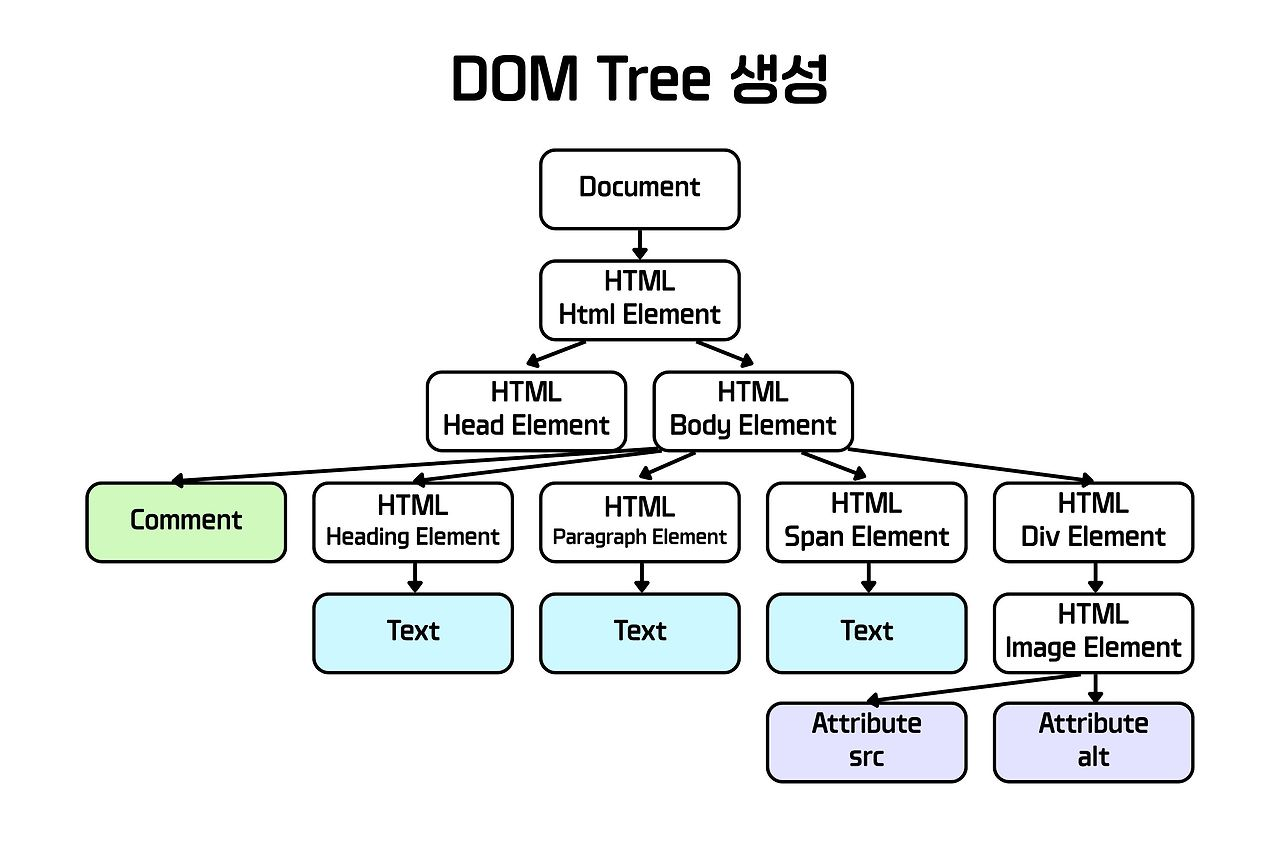 DOM Tree 생성