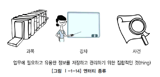 엔터티 종류