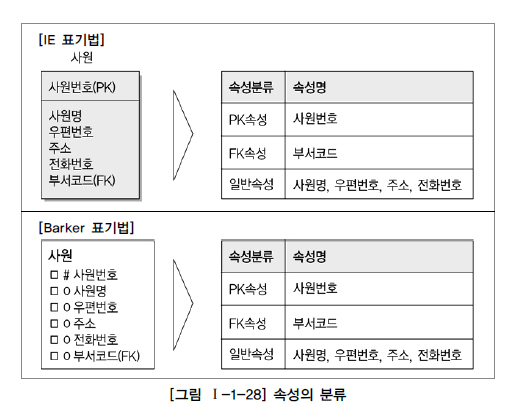 속성의 분류
