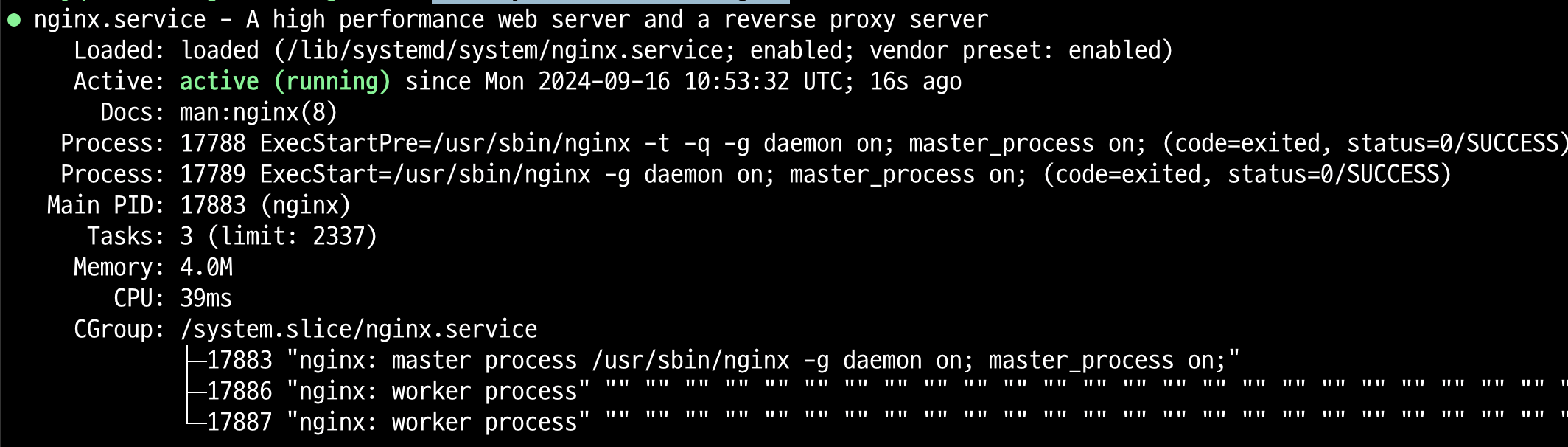 Nginx 