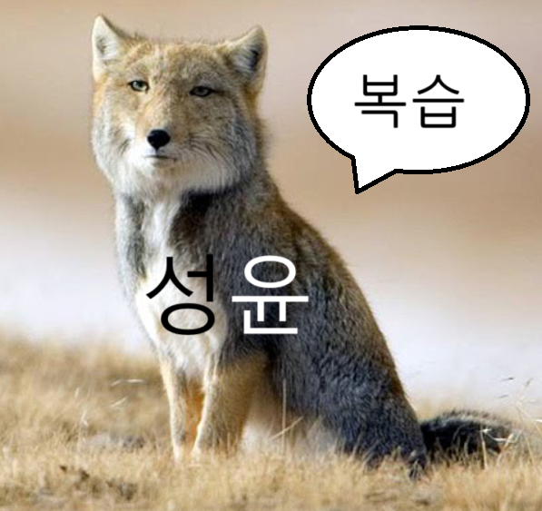 [스나이퍼팩토리] 한컴AI아카데미 6주차 - 리액트네이티브 후기