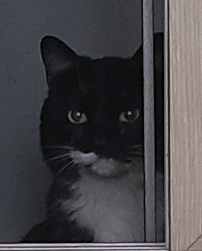 comment-user-thumbnail