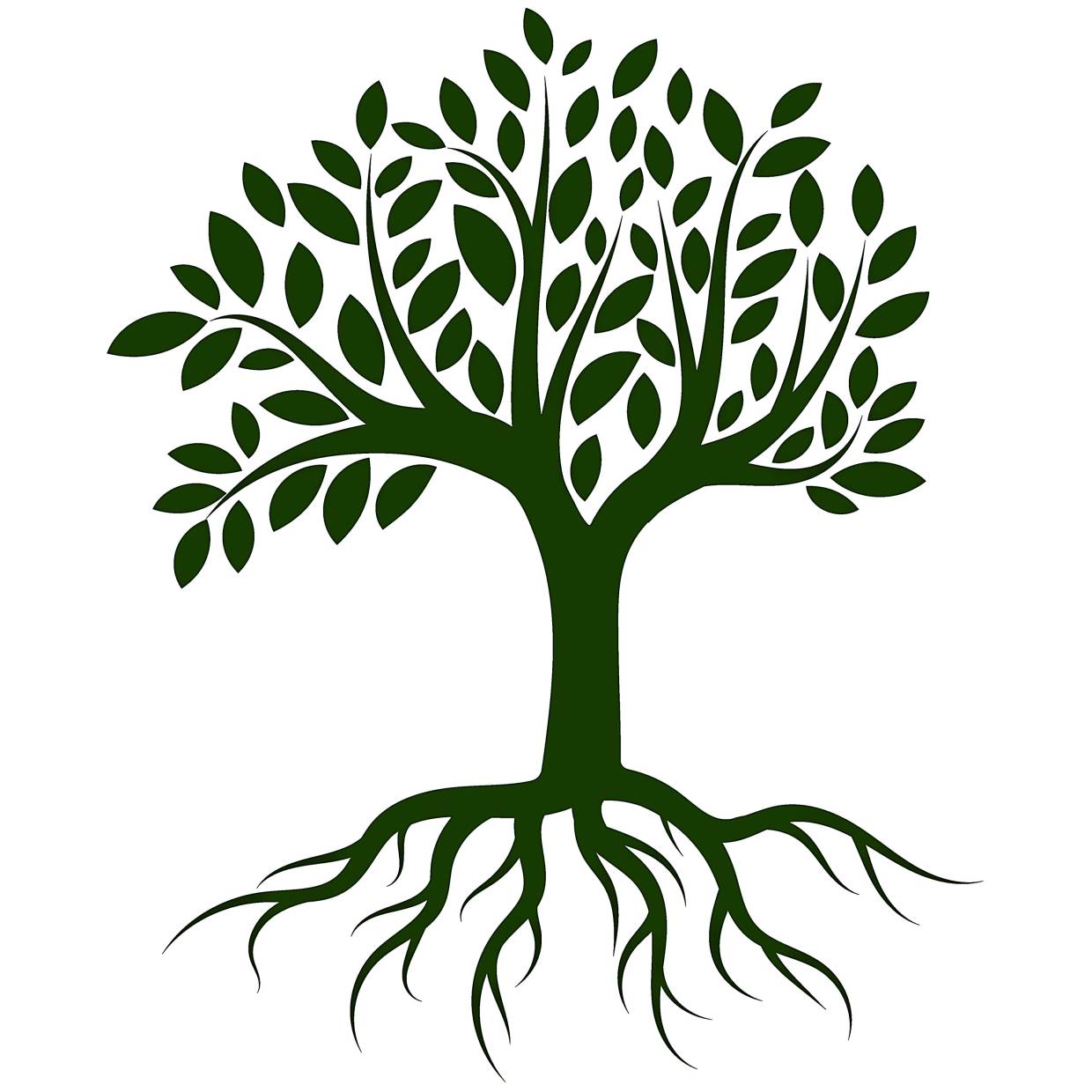 [DS] Tree