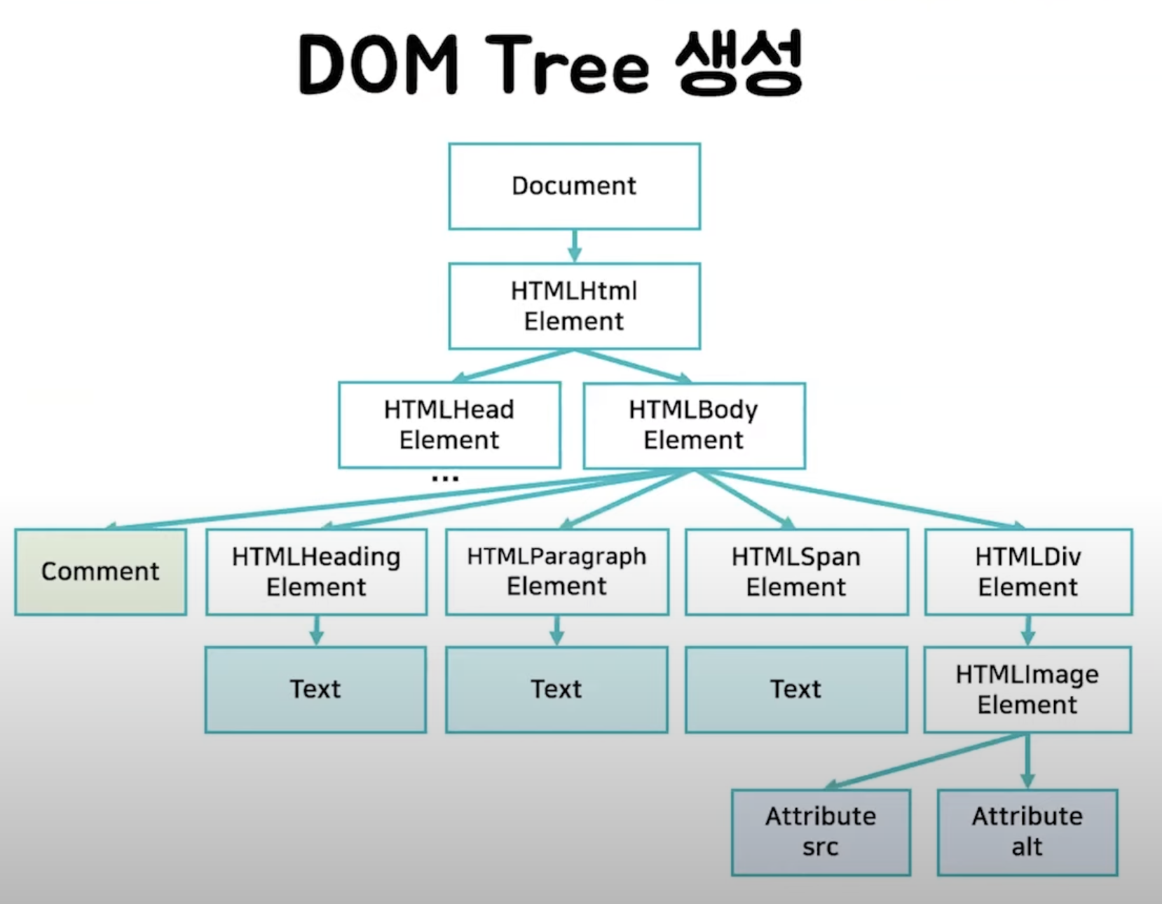 DOM Tree 생성