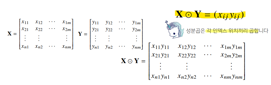 [AI Math] 행렬