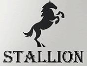 Velog profile picture for @stallion