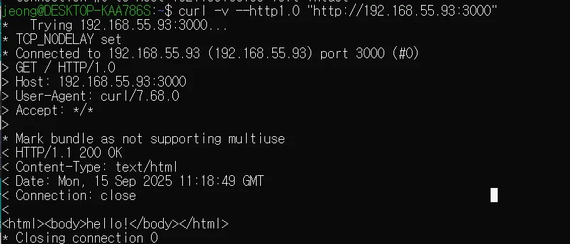 curl HTTP1.0
