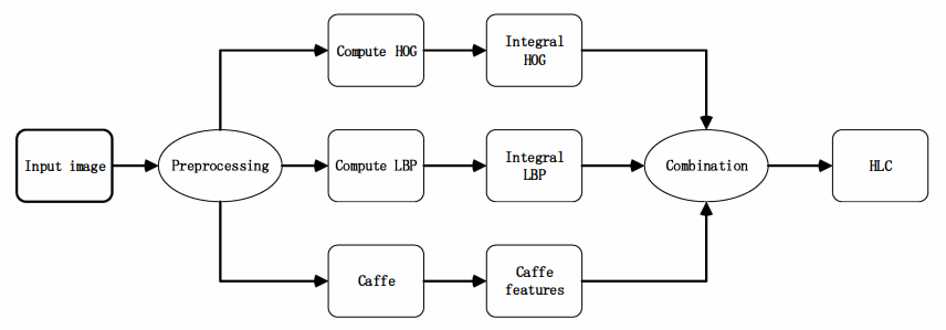 Automatic fall detection of human in video using combination of features