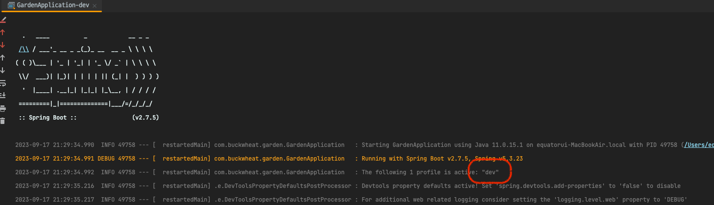 dev_profile_in_intellij