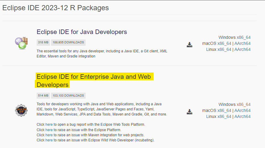Java and Web Developers Package