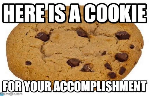 [FE] React Native에서 Amplitude 쿠키 에러 해결하기