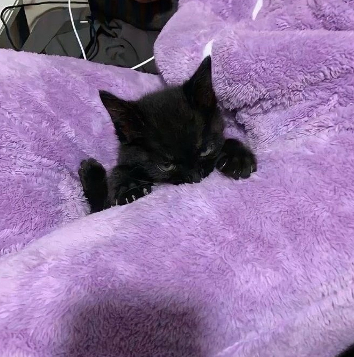 comment-user-thumbnail