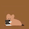 comment-user-thumbnail