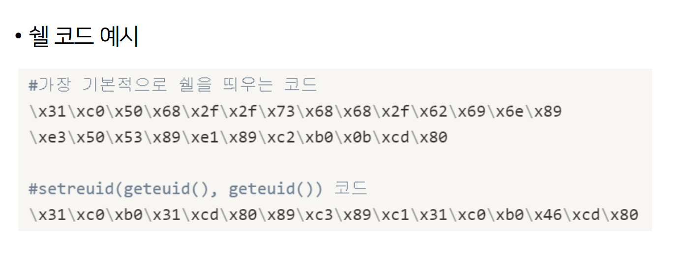쉘코드예시