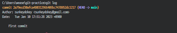 git log