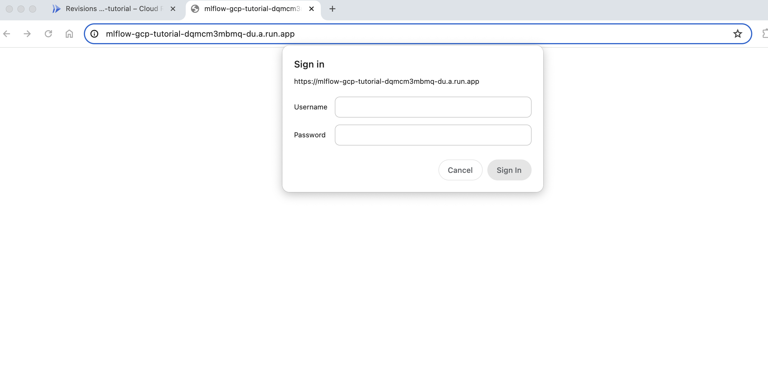 mlflow 초기인증화면