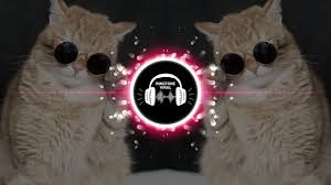 comment-user-thumbnail