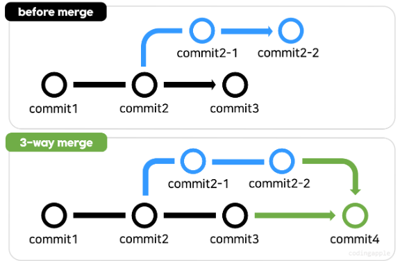 Git & Github