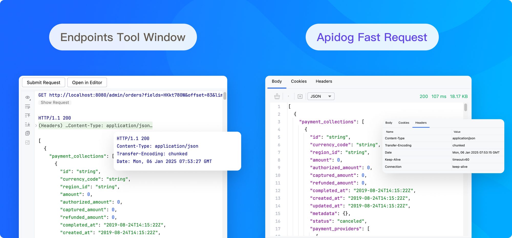 Apidog Fast Request