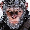 comment-user-thumbnail