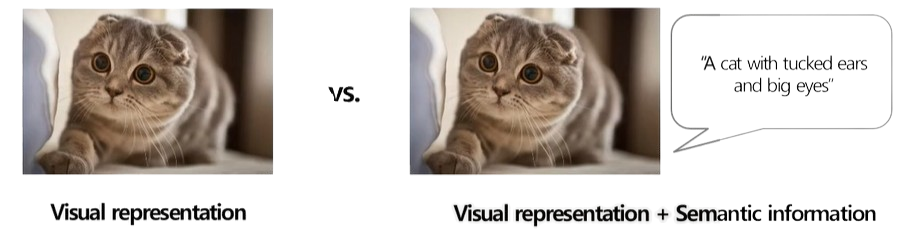 Use Image-Text pair