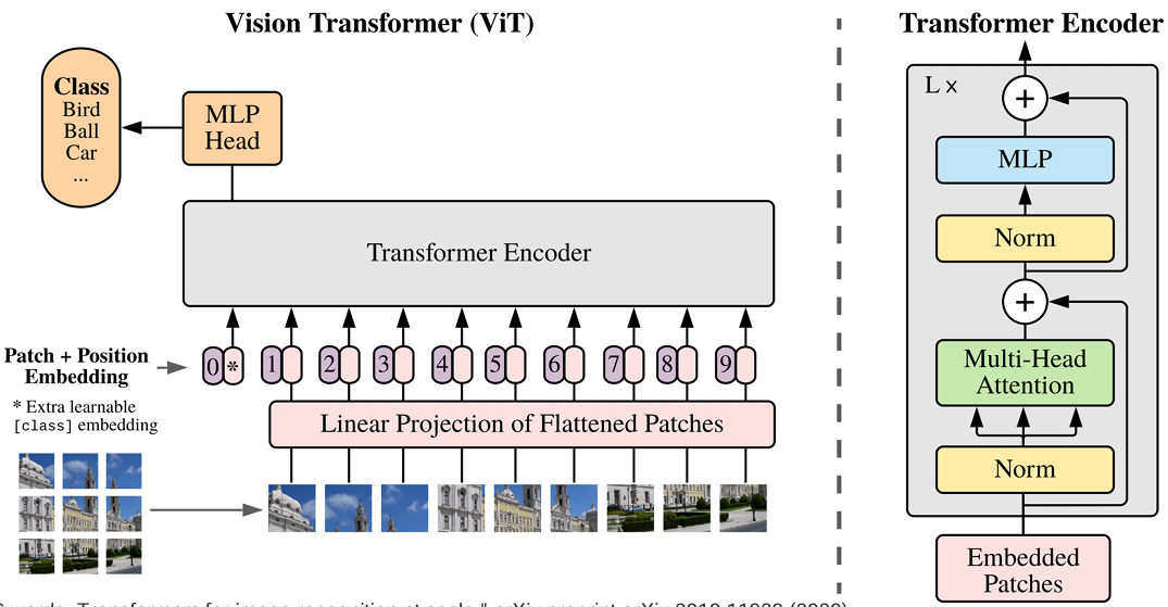 Vision Transformer (ViT)